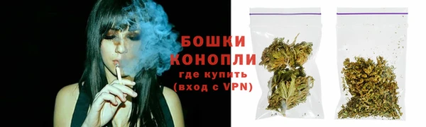 стаф Снежногорск