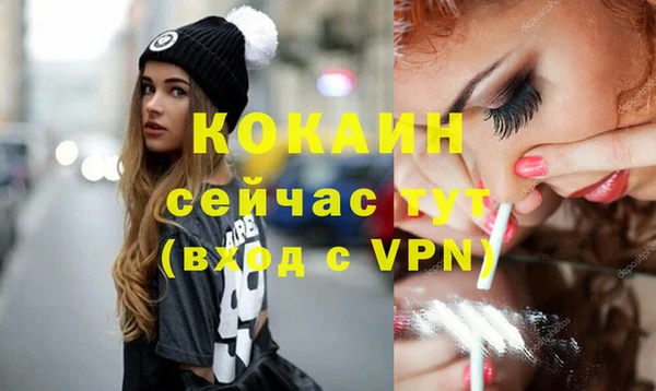 стаф Снежногорск