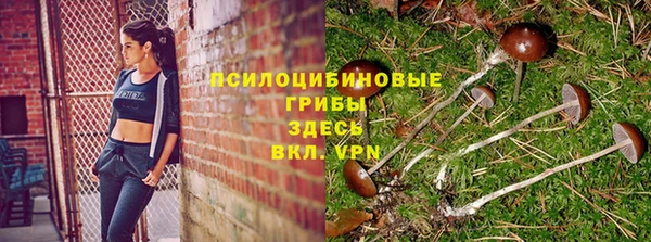 стаф Снежногорск