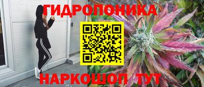 соль курить ск Аргун